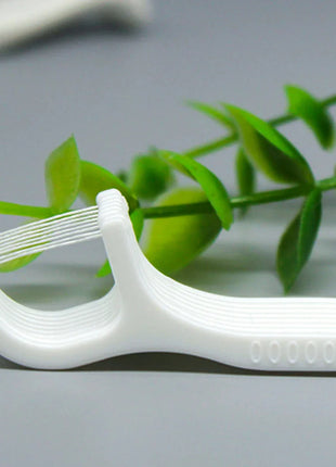 50Pcs Dental Floss Stick
